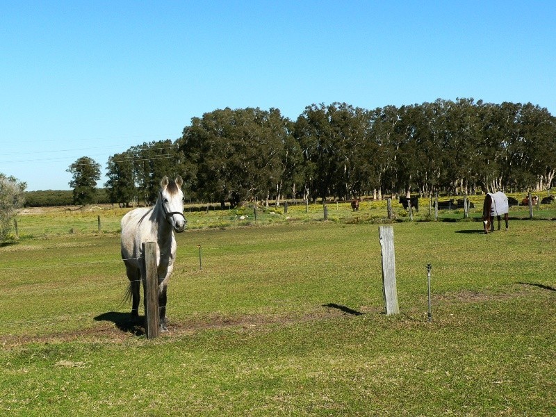 451 Cabbage Tree Road, Williamtown NSW 2318