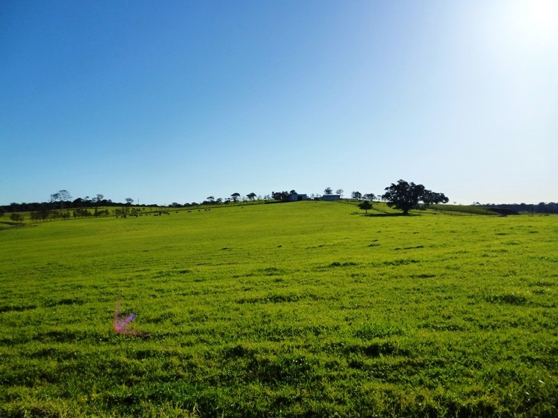 600 Seaham Road, Nelsons Plains NSW 2324