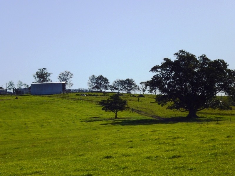 600 Seaham Road, Nelsons Plains NSW 2324