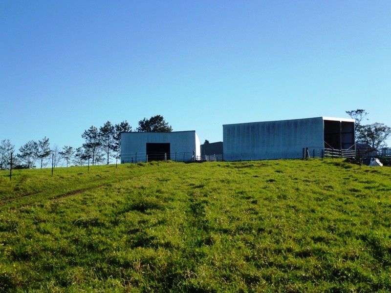 600 Seaham Road, Nelsons Plains NSW 2324