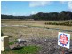 87 Mount Hall Road, Raymond Terrace NSW 2324