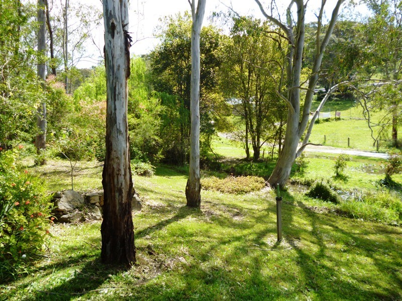 1361 Clarence Town Road, Seaham NSW 2324