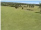 Lot 4A,  Limeburners Creek Road, Clarence Town NSW 2321