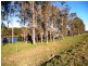 600 Seaham Road, Nelsons Plains NSW 2324