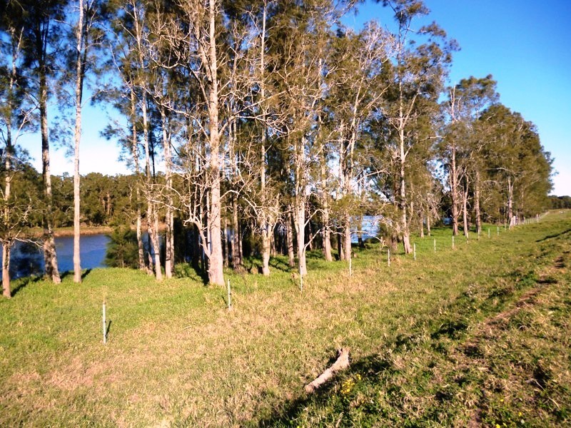 600 Seaham Road, Nelsons Plains NSW 2324