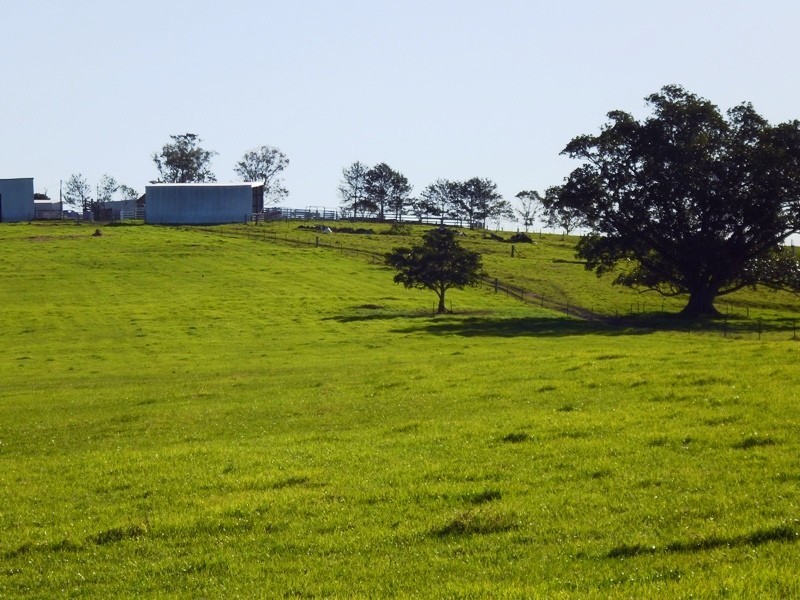 600 Seaham Road, Nelsons Plains NSW 2324