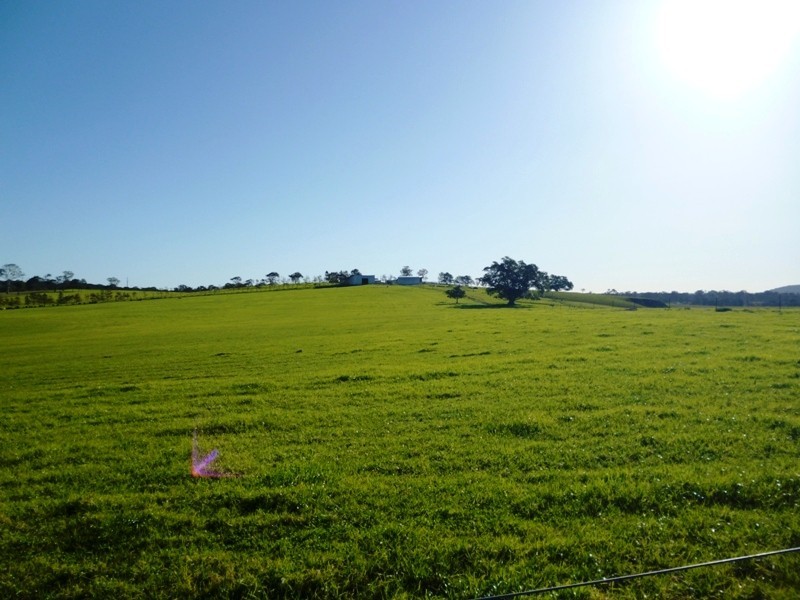 600 Seaham Road, Nelsons Plains NSW 2324