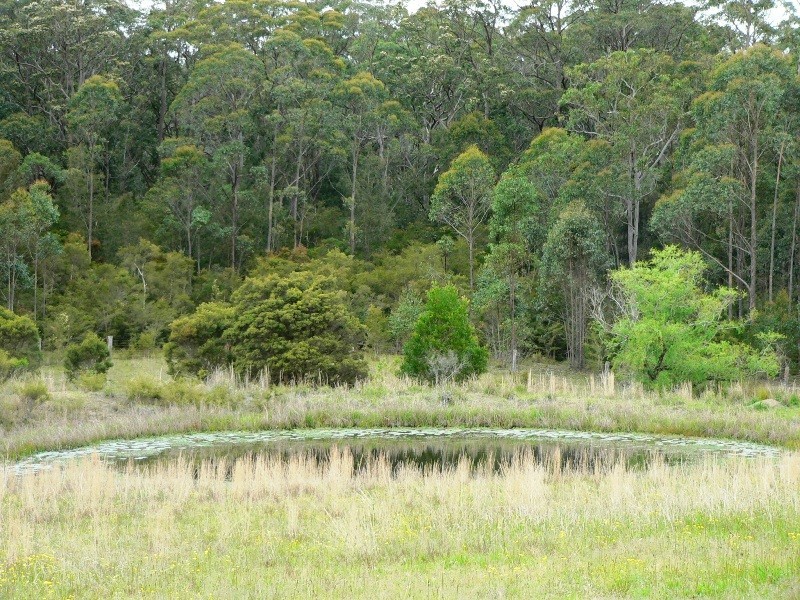 Lot 5, 31 Nugra Lane, Girvan NSW 2425