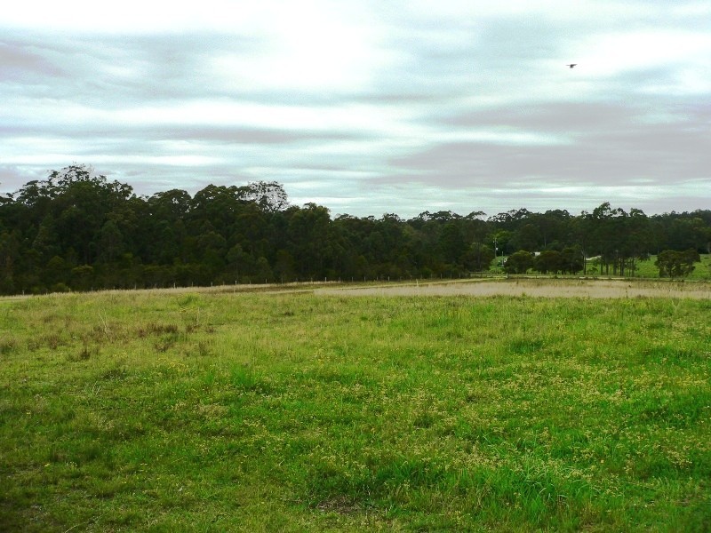Lot 5, 31 Nugra Lane, Girvan NSW 2425