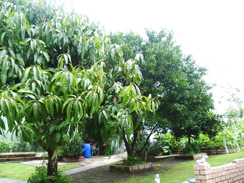 112 Dawson Road, Raymond Terrace NSW 2324