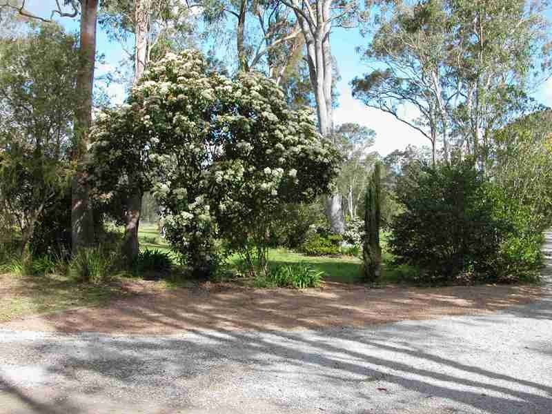 6 Kula Road, Medowie NSW 2318