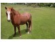 2497 Clarence Town Road, Clarence Town NSW 2321