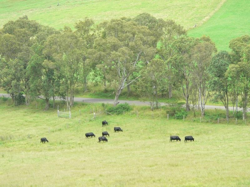 366 Glen William Road, Clarence Town NSW 2321