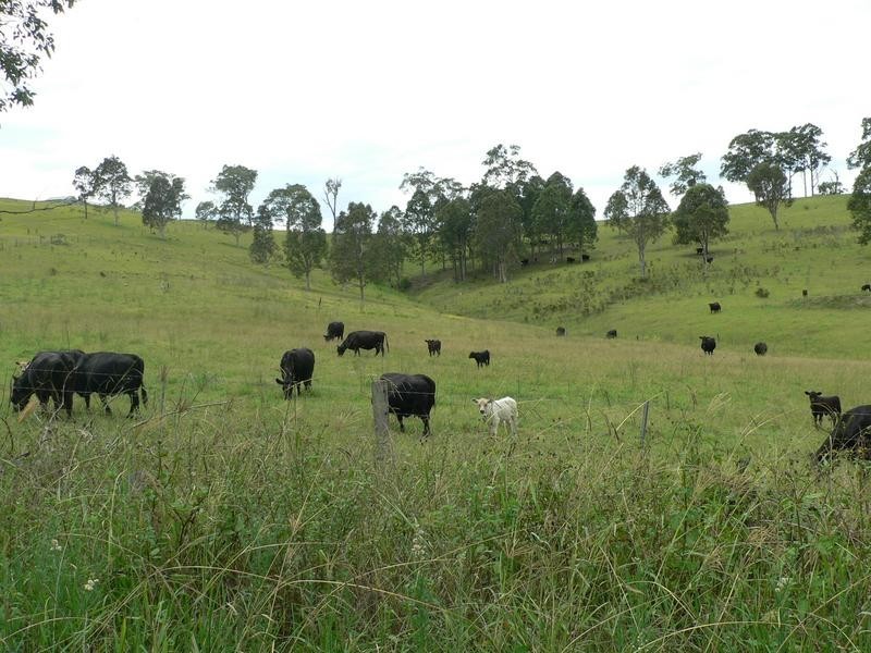 366 Glen William Road, Clarence Town NSW 2321