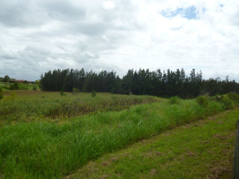 96 Dalyell Way, Raymond Terrace NSW 2324