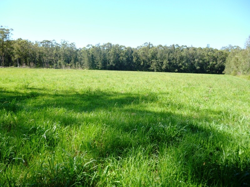 54A Lisadell Road, Medowie NSW 2318