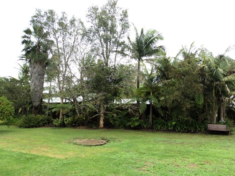 54A Lisadell Road, Medowie NSW 2318