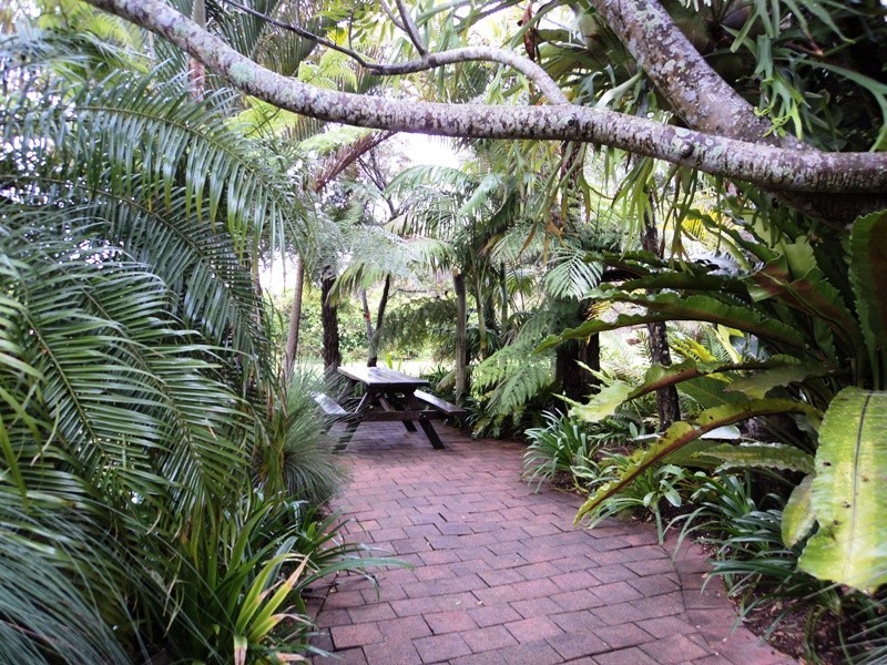 54A Lisadell Road, Medowie NSW 2318