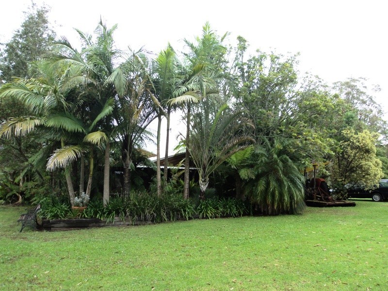 54A Lisadell Road, Medowie NSW 2318