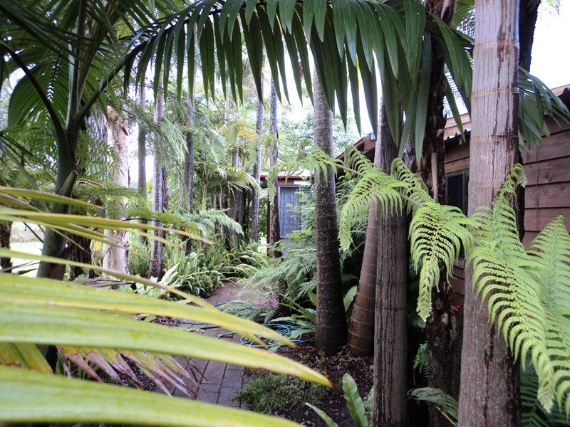 54A Lisadell Road, Medowie NSW 2318