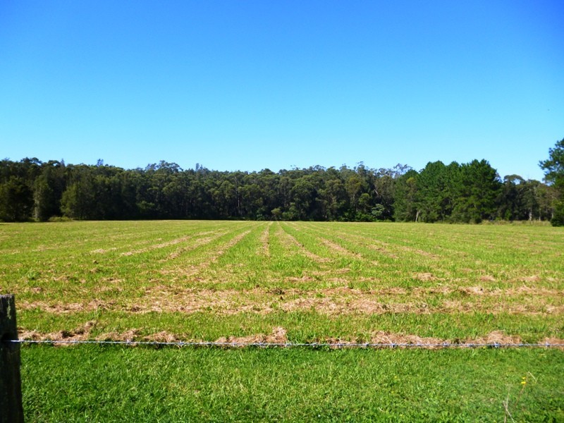 54A Lisadell Road, Medowie NSW 2318