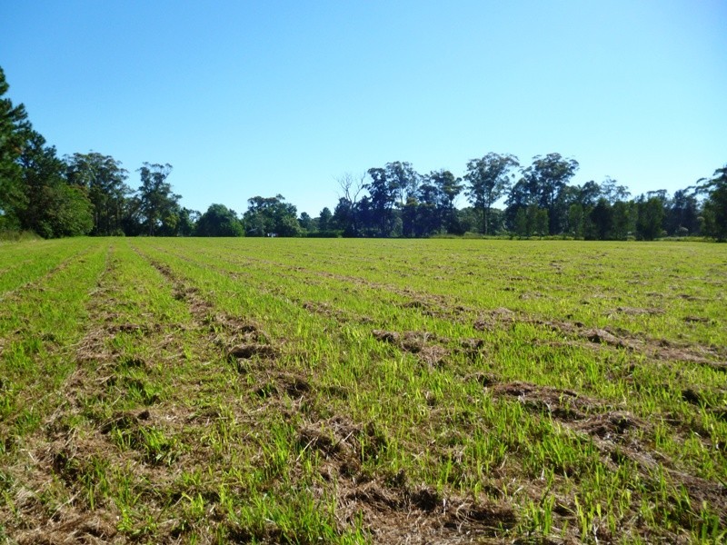 54A Lisadell Road, Medowie NSW 2318