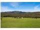 Lot 5, 1062 Upper Monkerai Road, Dungog NSW 2420