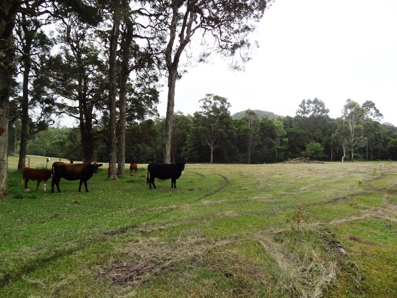 322 Ebsworth Road, Clarence Town NSW 2321