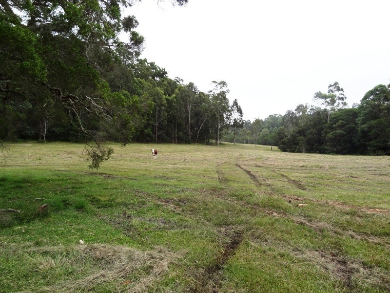 322 Ebsworth Road, Clarence Town NSW 2321