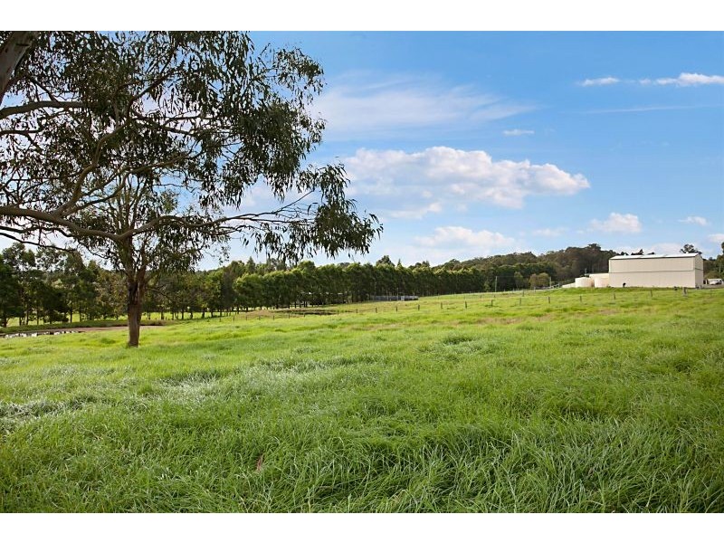 20 Warrigal Close, Brandy Hill NSW 2324