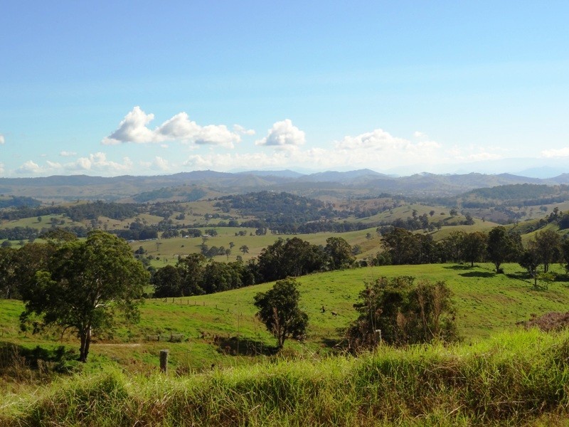 Lot 525,  Germons Road, Dungog NSW 2420