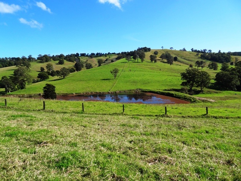 Lot 524,  Germons Road, Dungog NSW 2420