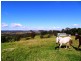 Lot 524,  Germons Road, Dungog NSW 2420