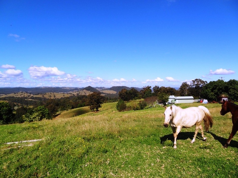 Lot 524,  Germons Road, Dungog NSW 2420