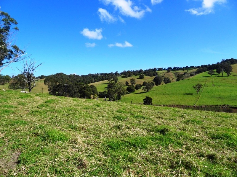 Lot 524,  Germons Road, Dungog NSW 2420