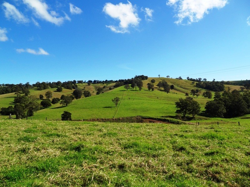Lot 524,  Germons Road, Dungog NSW 2420