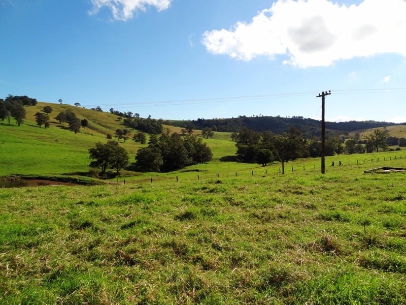 Lot 524,  Germons Road, Dungog NSW 2420