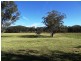 Lot 441, 788 Limeburners Creek Road, Clarence Town NSW 2321