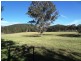 Lot 441, 788 Limeburners Creek Road, Clarence Town NSW 2321