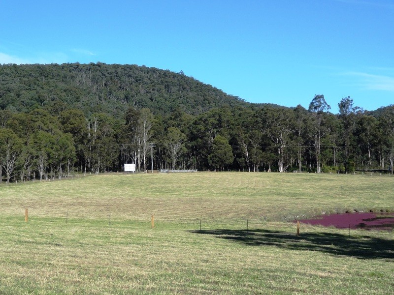 Lot 442, 788 Limeburners Creek Road, Clarence Town NSW 2321