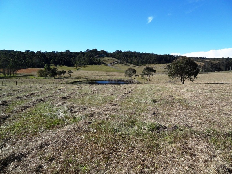 Lot 445, 788 Limeburners Creek Road, Clarence Town NSW 2321