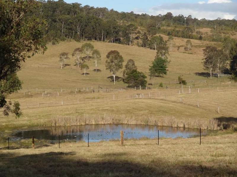 Lot 445, 788 Limeburners Creek Road, Clarence Town NSW 2321