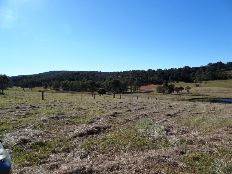 Lot 444, 788 Limeburners Creek Road, Clarence Town NSW 2321