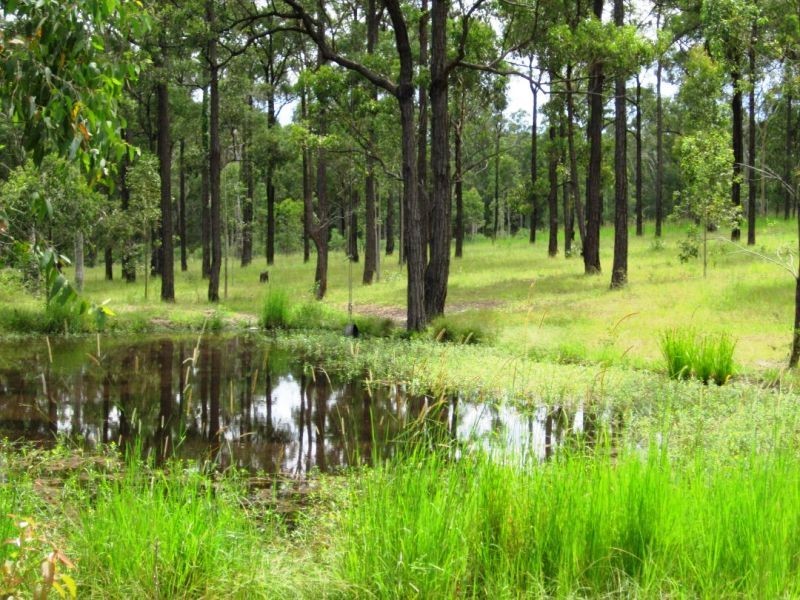 29 Grandview Close, Clarence Town NSW 2321