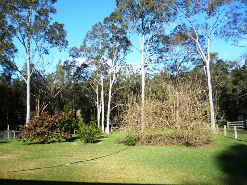 633 Seaham Road, Nelsons Plains NSW 2324