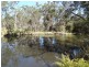 51 Forest Glen Road, Limeburners Creek NSW 2324
