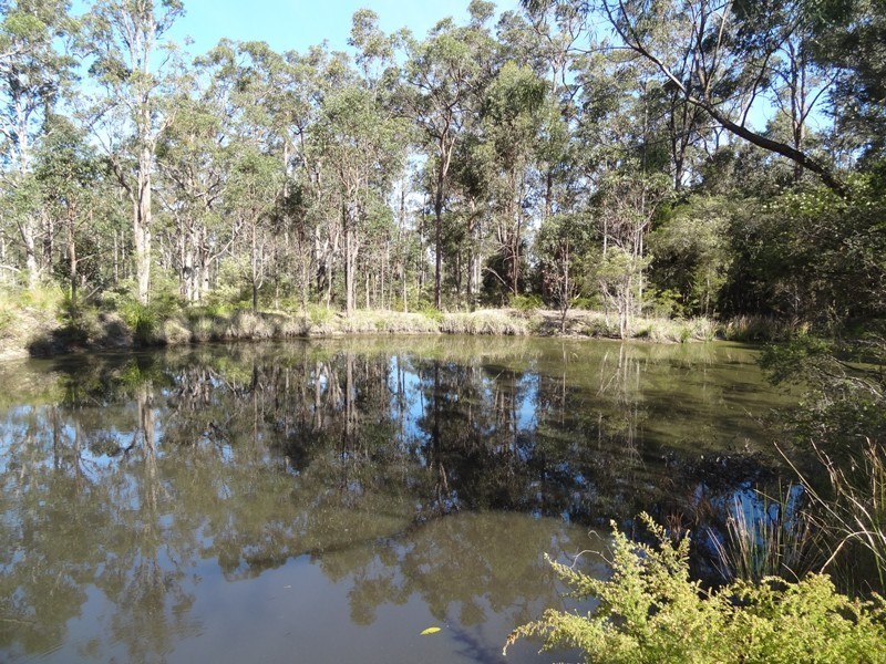 51 Forest Glen Road, Limeburners Creek NSW 2324