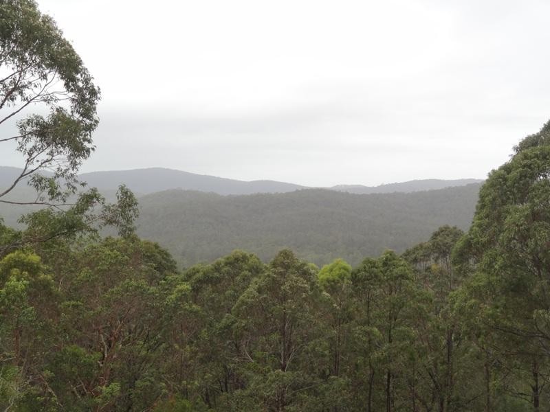 130 Bede Street, Stroud NSW 2425