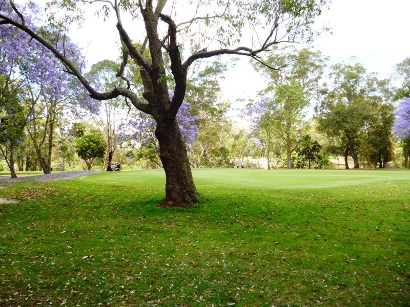 40 Links Drive, Raymond Terrace NSW 2324