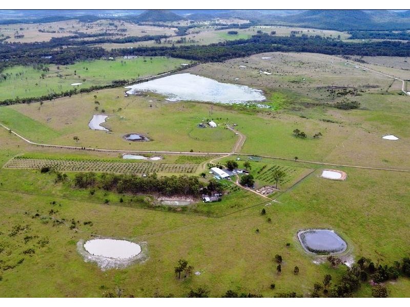 Lot 2, 717 Branch Lane, The Branch NSW 2425